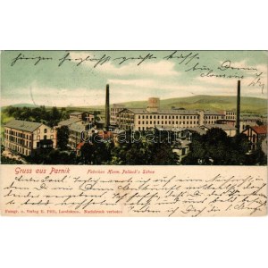 1903 Ceská Trebová, Böhmisch Trübau; Gruss aus Parnik. Febriken Hermann Pollack's Söne. Fotogr. u. Verlag R. Piffl ...