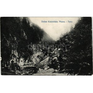 Tatry, Tatry; Dolina Koscieliska, Pisana / údolí, turisté