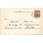 1900 Trafoi (Stelvio, Stilfs; Südtirol); Ortler gletscher / ghiacciaio dell'Ortles. foto (gluemark) / Dott.