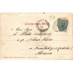 1905 Radauti, Radóc, Radautz (Bukovina, Bucovina, Bukowina); general view, shops of Carl Dauber, Salomon Sonnenthal...