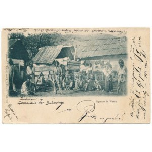 1899 (Vorläufer) Vama, Wama (Bukovina, Bucovina, Bukowina); Gruss aus der Bukowina. Zigeuner ...