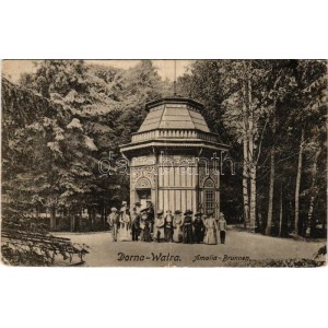 1918 Vatra Dornei, Dornavátra, Bad Dorna-Watra (Bukovina); Amalia Brunnen / fountain (fa)