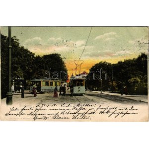 1907 Göteborg, Gothenburg; Park Viktoriagatan, trams
