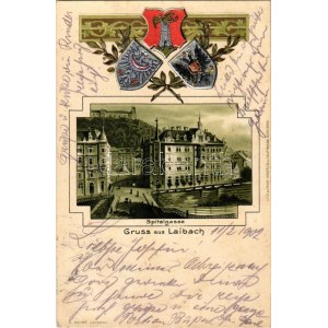 1902 Ljubljana, Laibach; Spitalgasse. J. Bonac / street. Art Nouveau, floral litho with embossed coat of arms (fl...