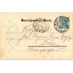 1902 Ljubljana, Laibach; Spitalgasse. J. Bonac / street. Art Nouveau, floral litho with embossed coat of arms (fl...