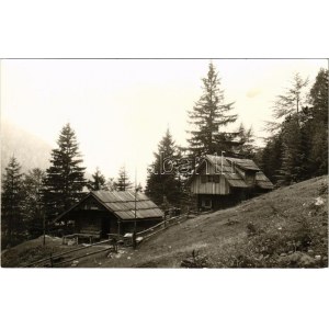 Logarska Dolina, Koca pod Ojstrico (Klemenca jama) / casa turistica, casa di riposo di montagna. foto