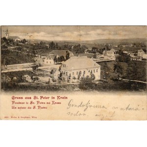 1901 Pivka, St. Petra na Krasu, San Pietro del Carso, St. Peter in Krain; (fl)