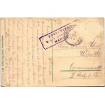 1916 Slovenska Bistrica, Windisch-Feistritz, Windischfeistritz; Hauptplatz / main square, shops. Verlag Rosa Pitschl ...