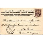 1901 Kerékpározó kutya és macskák - dombornyomott / Cats and dog on bicycles. Embossed litho (EK...