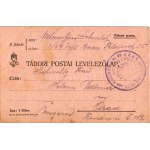 1915 Ein einsamer Posten an der Drina / Első világháborús kézzel rajzolt Tábori Postai Levelezőlap / WWI hand...