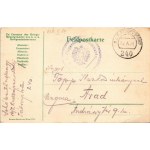 1916 Feldzug 4. Armee 1914-1916. Viribus Unitis. Die 4. Armee den Invaliden und den Witwen und Waisen der Gefallenen ...