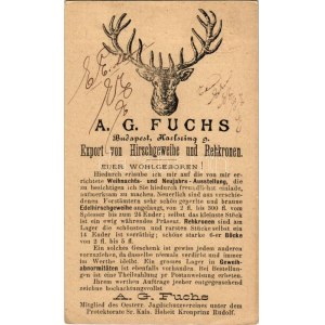 1889 (Vorläufer) A. G. Fuchs Export von Hirschgeweihe und Rehkronen. Budapest, Karlsring 9. ...