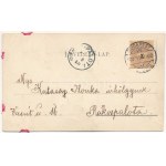 1900 Élővirágos levelezőlap. Galantai Gyula kiadása, Budapest / Greeting card with real flower