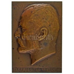 Beck Ötvös Fülöp (1873-1945) 1907. Tisza István gróf egyoldalas bronz plakett (76x54mm) T:XF kis patina, több kis ph....