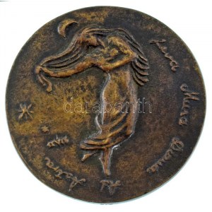 Csúcs Ferenc (1905-1999) 1975. Varga Nándor Lajos 1975 bronz emlékplakett, peremén 1-es sorszámmal! (90mm) T:AU,XF ...
