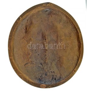 Farkas Pál (1947- ) 1987. 150 éves az óvódapedagógus képzés egyoldalas, öntött bronz plakett (118x104mm) T:AU ...