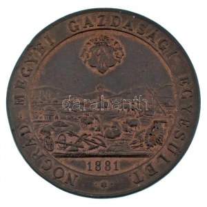 1883. Nógrád megyei gazdasági termény - ipar és gépkiállítás Losonczon 1883 / Nógrád-megyei Gazdasági Egyesület - 1881...