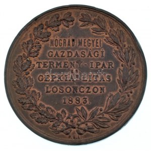 1883. Nógrád megyei gazdasági termény - ipar és gépkiállítás Losonczon 1883 / Nógrád-megyei Gazdasági Egyesület - 1881...