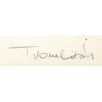 Trombitás Tamás (1952-): Geometrikus kompozíció (cím nélkül), 1982. Szitanyomat, papír, jelzett. Számozott: 70/130. 25...