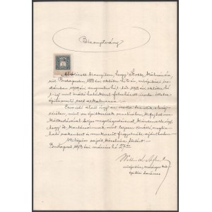 1913 Wellisch Alfréd (1854-1941) műépítész munkáltatói bizonyítványa Stobbe Kálmán (1883-1936...