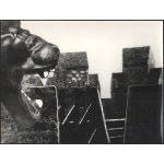 cca 1965 Tóth Imre székesfehérvári fotográfus felvételei (Nem jött levél; Védők; Fehér falak), 3 db feliratozott...
