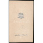 1862 II. Lajos (1845-1886) bajor király portréja, keményhátú fotó H. Holz müncheni műterméből, 10,5×6...