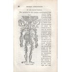 Nichols, T[homas] L[ow]: Esoteric Anthropology. Port Chester, 1853. (N. Y. Stereotype Association). IV + [5]-482 p...