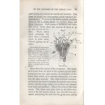 Nichols, T[homas] L[ow]: Esoteric Anthropology. Port Chester, 1853. (N. Y. Stereotype Association). IV + [5]-482 p...