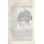 Nichols, T[homas] L[ow]: Esoteric Anthropology. Port Chester, 1853. (N. Y. Stereotype Association). IV + [5]-482 p...