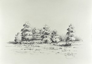 Wiktor ZIN (1925-2007), Chata pośród drzew