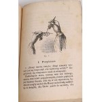 LISKIE- DLA DZIEWCZĄTEK. KSIĄŻKA PRAKTYCZNEJ PRACY, ĆWICZEŃ I ZABAW DLA PANIENEK OD 6 DO 15 ROKU ŻYCIA 1875