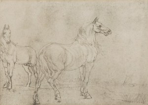 Paulus POTTER (1625-1654) - według, Para koni