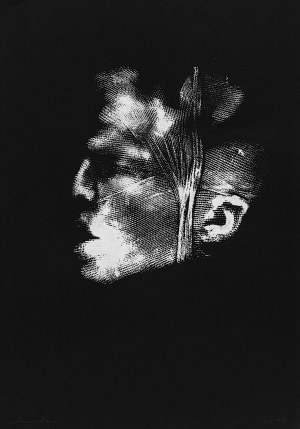 Maciej Wieczorek, Face, 2012 - 2015