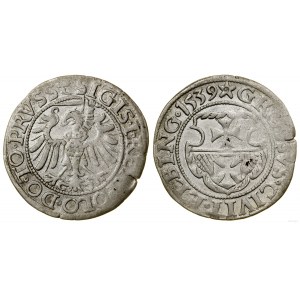 Poland, penny, 1539, Elbląg