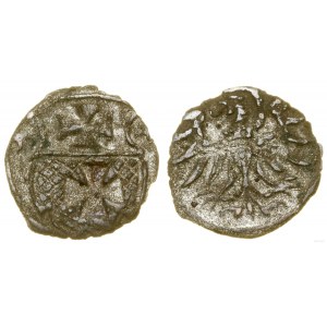 Polska, denar, 1554, Elbląg
