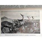 Irwin D., Jack O'Brien - Samotnie przez pustynie lodowe - [z 9 ilustracjami], Warszawa 1930