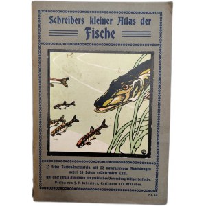 Altas ryb - Schreibers kleiner Atlas der Fische [ 12 tablic z 52 rysunkami], ok 1920 rok