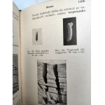 Nunberg M. - Klucz do oznaczania ważniejszych szkodliwych owadów leśnych, Warszawa 1935 [ dendrologia, owady i drzewa]