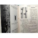 Nunberg M. - Klucz do oznaczania ważniejszych szkodliwych owadów leśnych, Warszawa 1935 [ dendrologia, owady i drzewa]