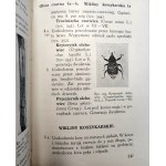 Nunberg M. - Klucz do oznaczania ważniejszych szkodliwych owadów leśnych, Warszawa 1935 [ dendrologia, owady i drzewa]