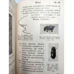 Nunberg M. - Klucz do oznaczania ważniejszych szkodliwych owadów leśnych, Warszawa 1935 [ dendrologia, owady i drzewa]