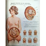 Kuhner A., Springer J. - Tajemnica życia powstającego z punktu widzenia lekarskiego i społecznego, objaśnienia życia płciowego i małżeńskiego - Lwów 1925