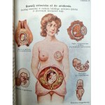 Kuhner A., Springer J. - Tajemnica życia powstającego z punktu widzenia lekarskiego i społecznego, objaśnienia życia płciowego i małżeńskiego - Lwów 1925