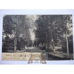 Bytom, Beuthen, Promenade, 1906
