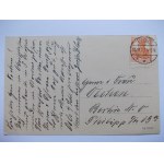 Pszczyna, Pless, foreste di Pszczyna, bisonte, 1917