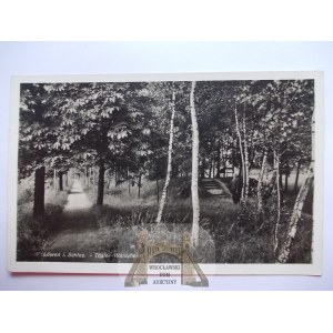 Lewin Brzeski, Lowen, las, 1940