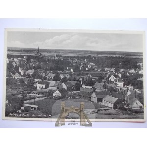 Scinawa, Steinau, panorama, vers 1940
