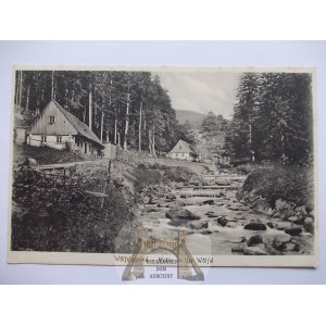 Międzygórze, Wolfelsgrund, strumyk, 1914