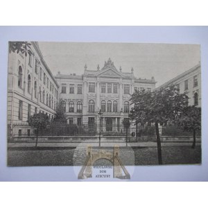 Piotrków, C. K. Komenda Obwodowa, 1916