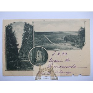 Jelnia k. Nisko, panorama, kapliczka, 1900